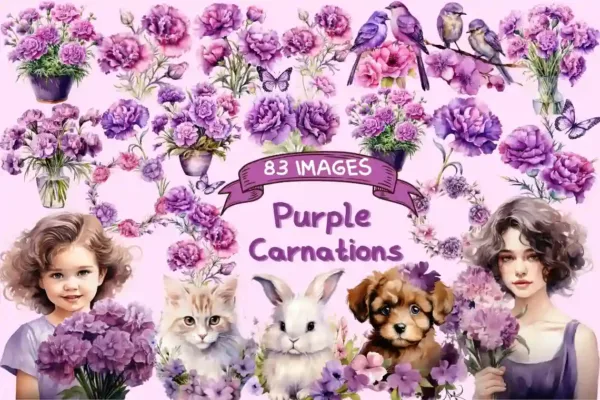 Purple carnation clipart